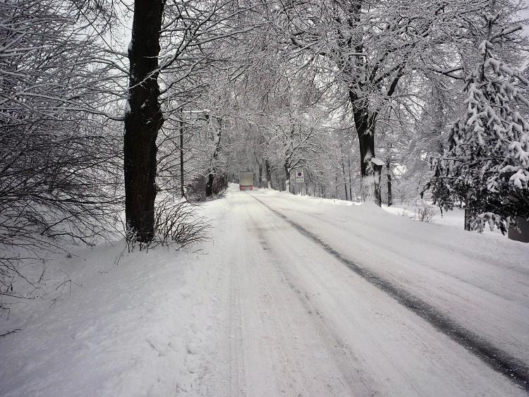 Olešnice na Moravě